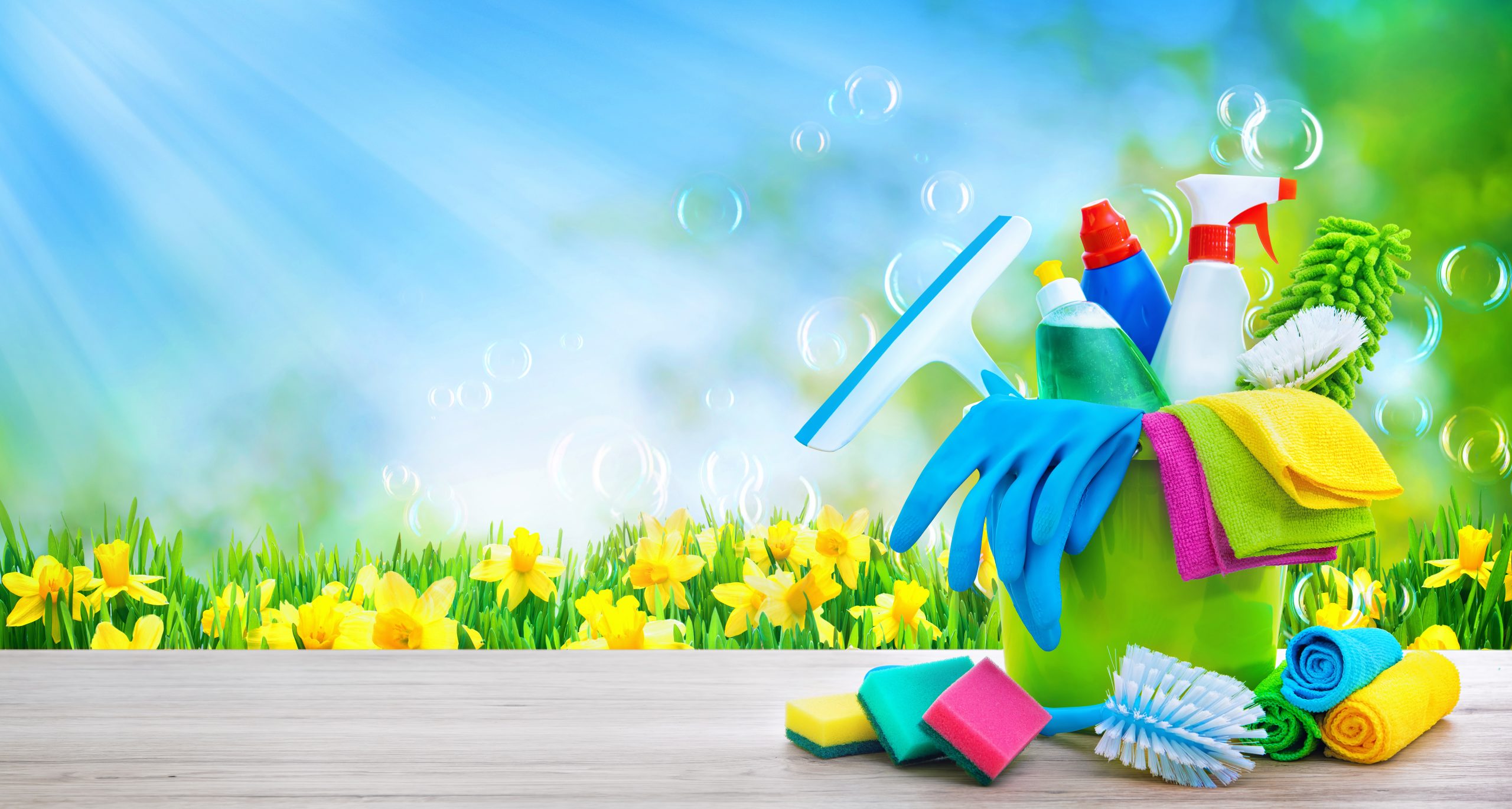 Science of Spring Cleaning