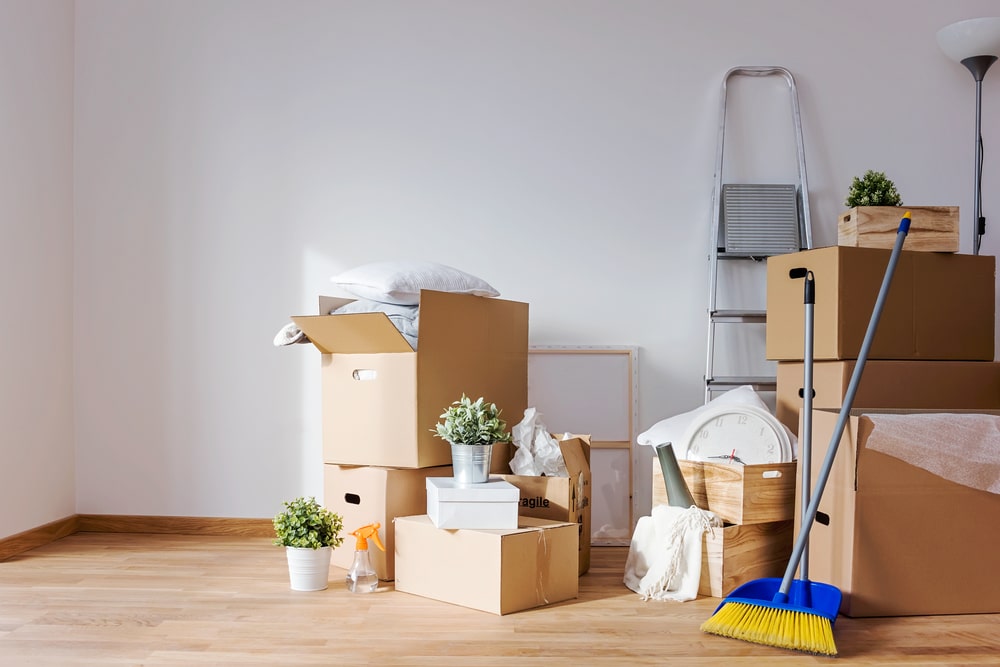 Move In/Out Cleaning