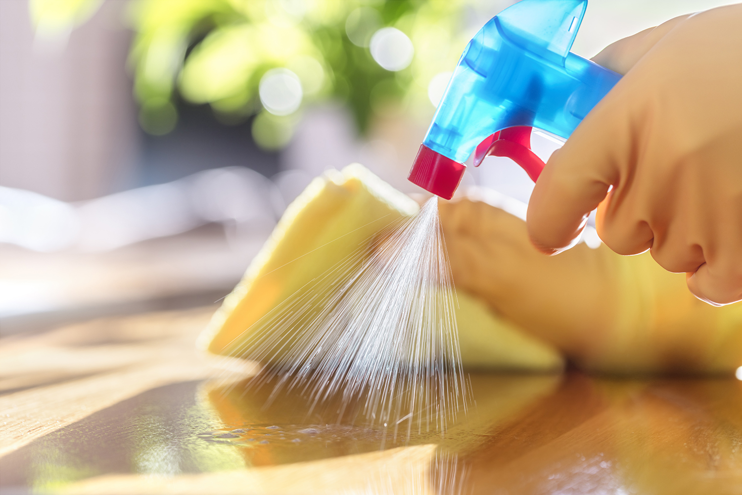 Sanitization Services